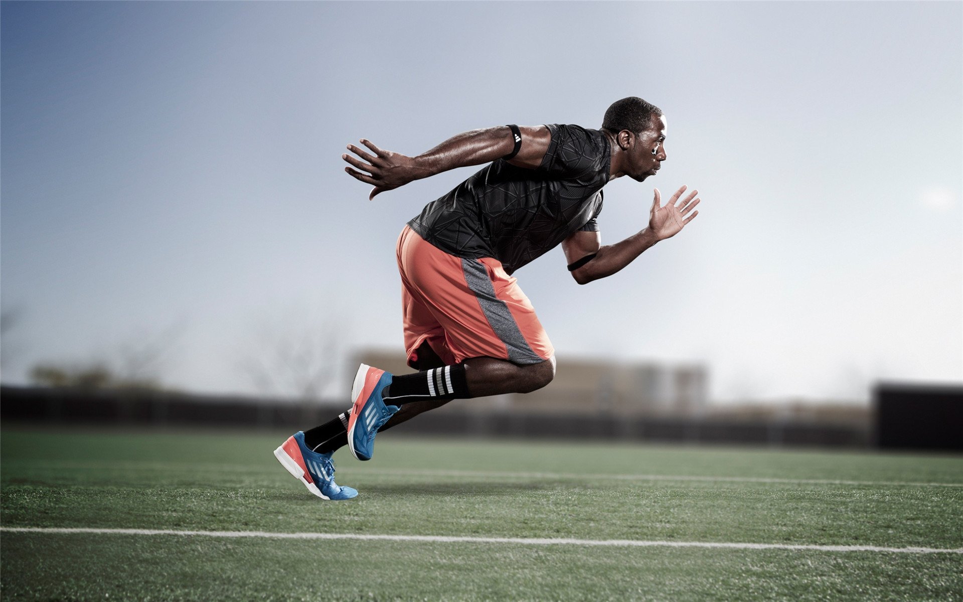 体育新闻中心晋级之路解析,体育新闻报道栏目